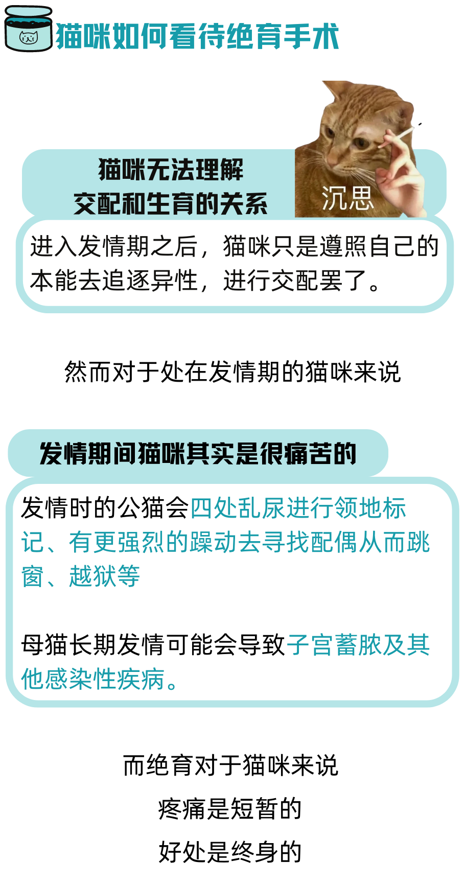 猫咪知道自己被绝育了吗？