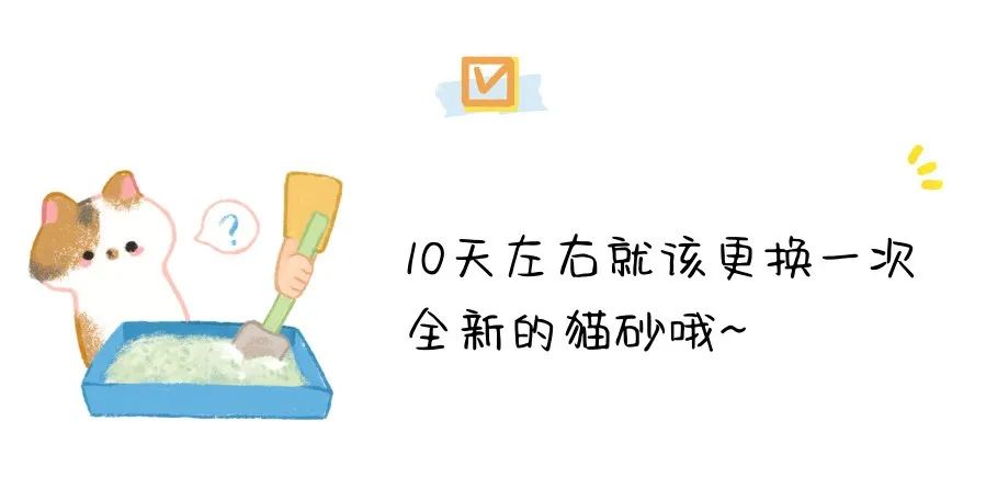 如何去除家中的“猫臭”？