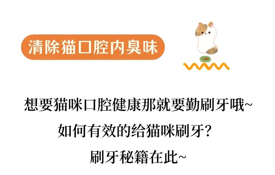 如何去除家中的“猫臭”？