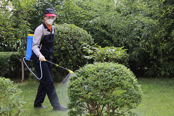 办理有害生物防制员职业资格证书对企业有什么好处