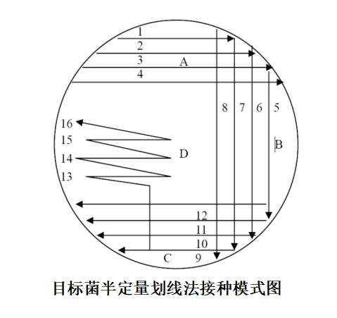 非選擇性固體培養(yǎng)基微生物性能測(cè)試方法