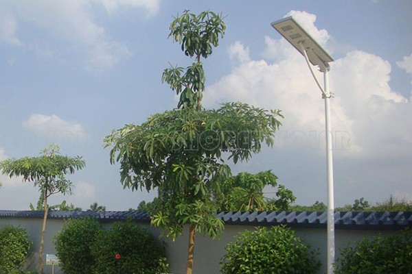 太阳能板应用于乡村道路