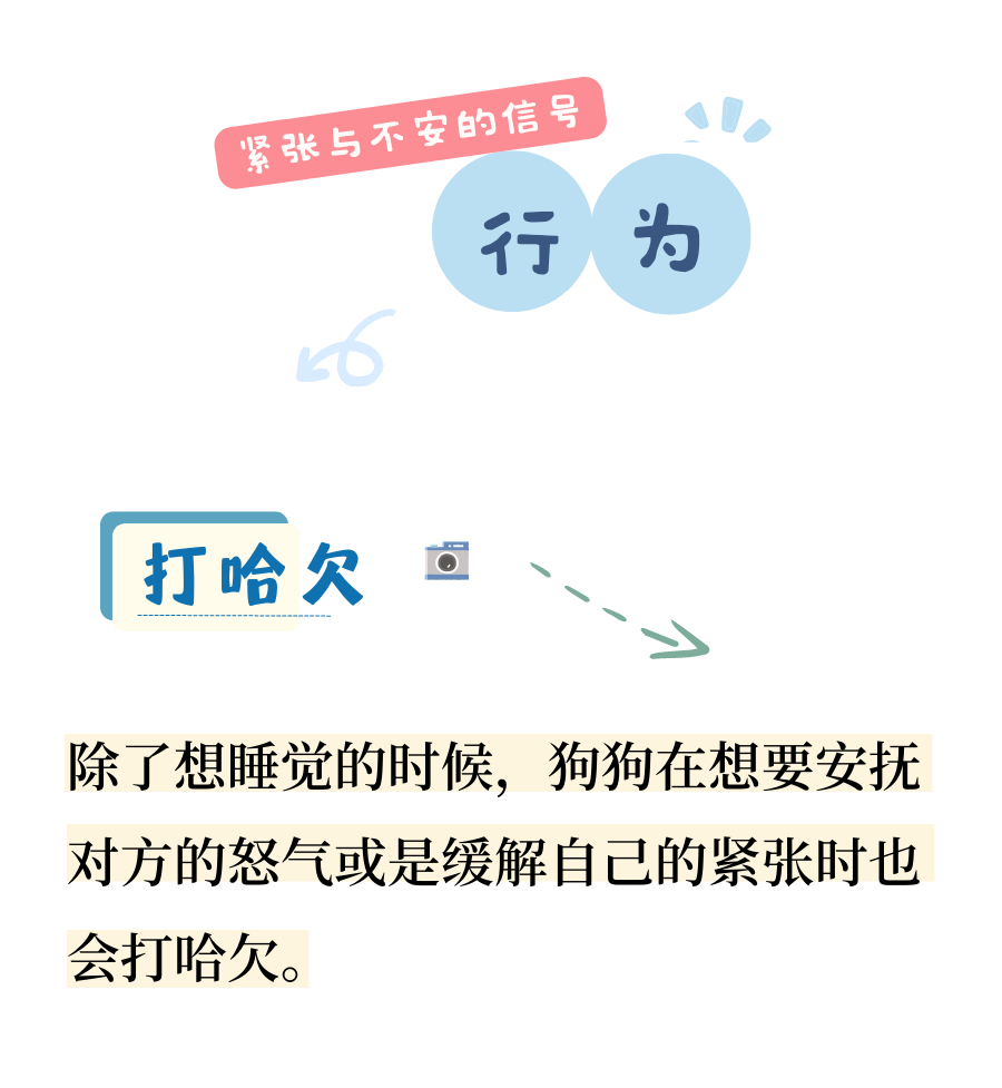 狗狗也会紧张不安？看修勾如何自我缓解~