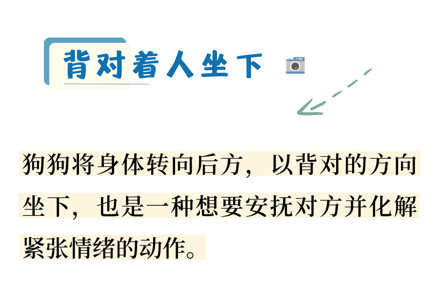 狗狗也会紧张不安？看修勾如何自我缓解~