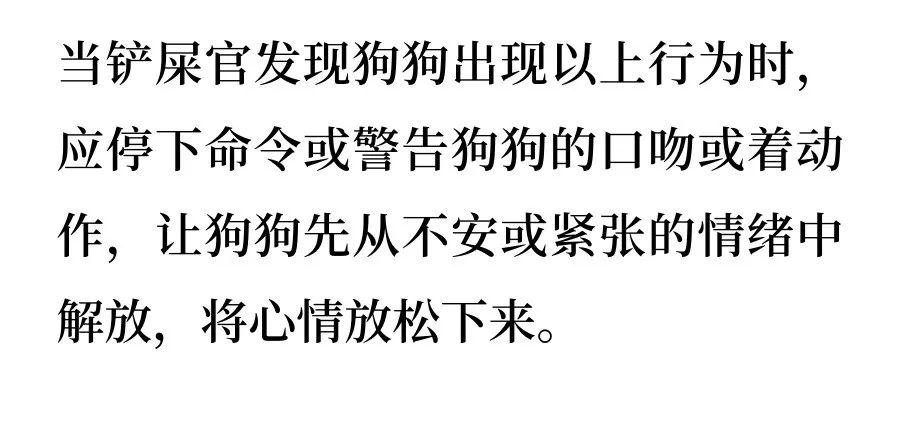 狗狗也会紧张不安？看修勾如何自我缓解~