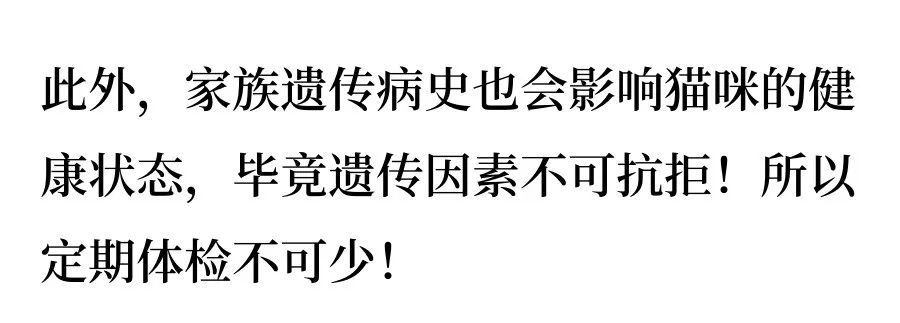 从6个方面教你判断猫咪是否健康！