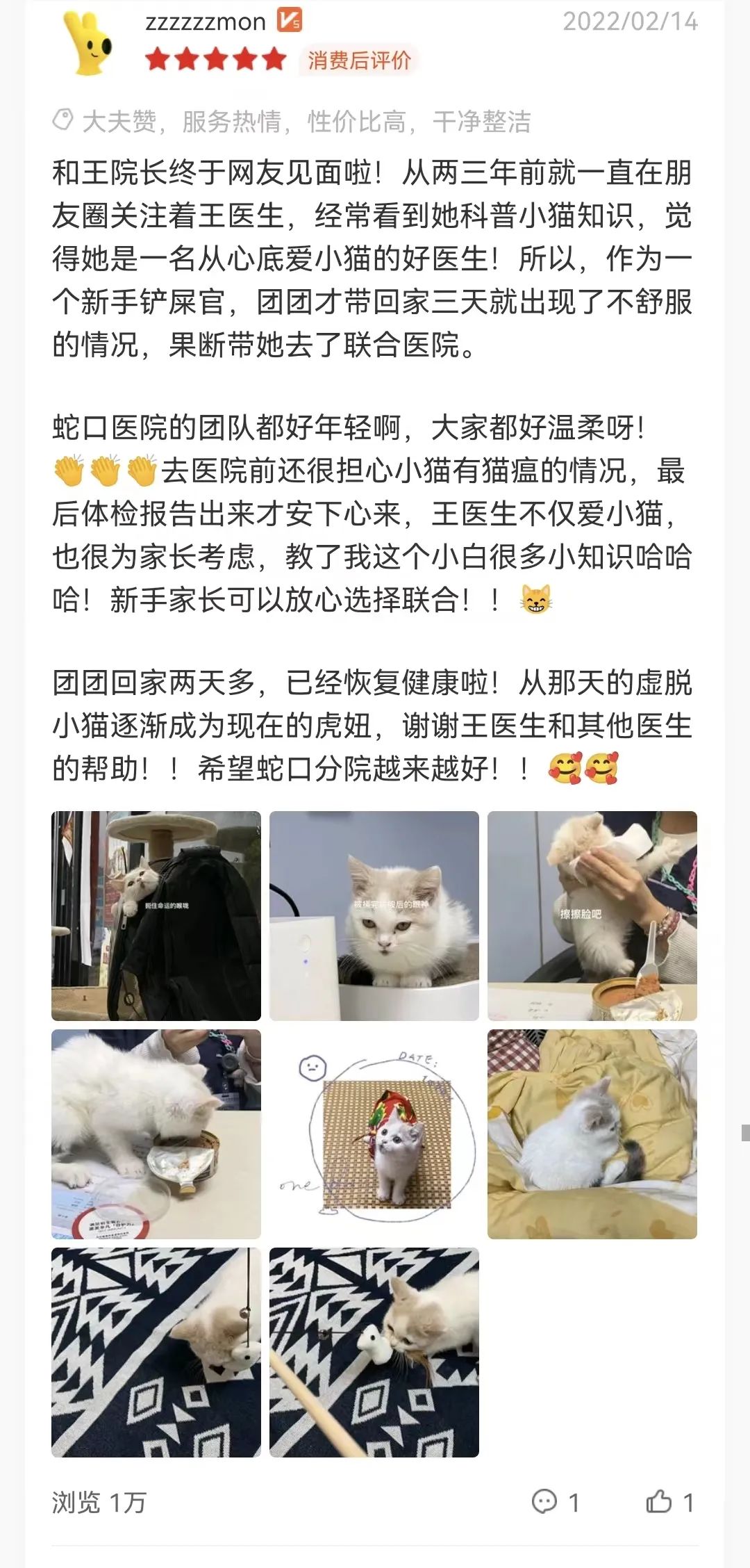 从6个方面教你判断猫咪是否健康！