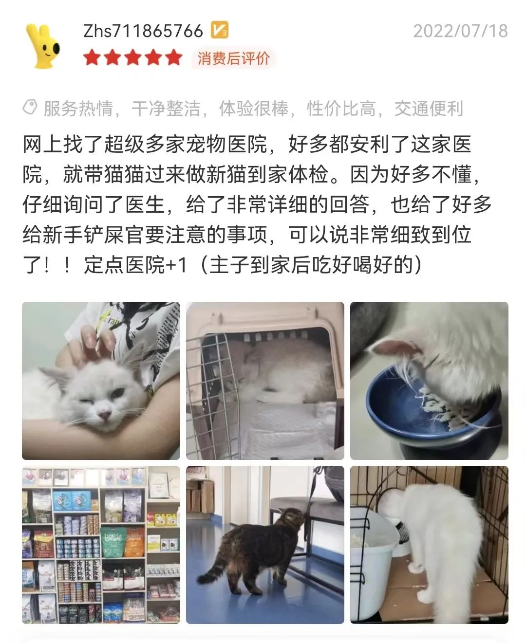 从6个方面教你判断猫咪是否健康！