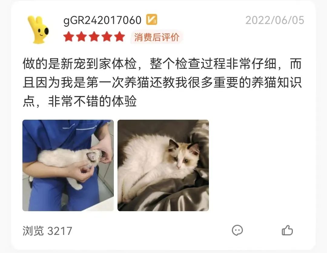 从6个方面教你判断猫咪是否健康！