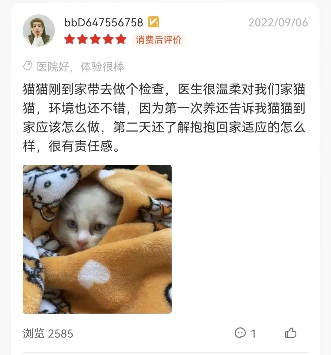 从6个方面教你判断猫咪是否健康！