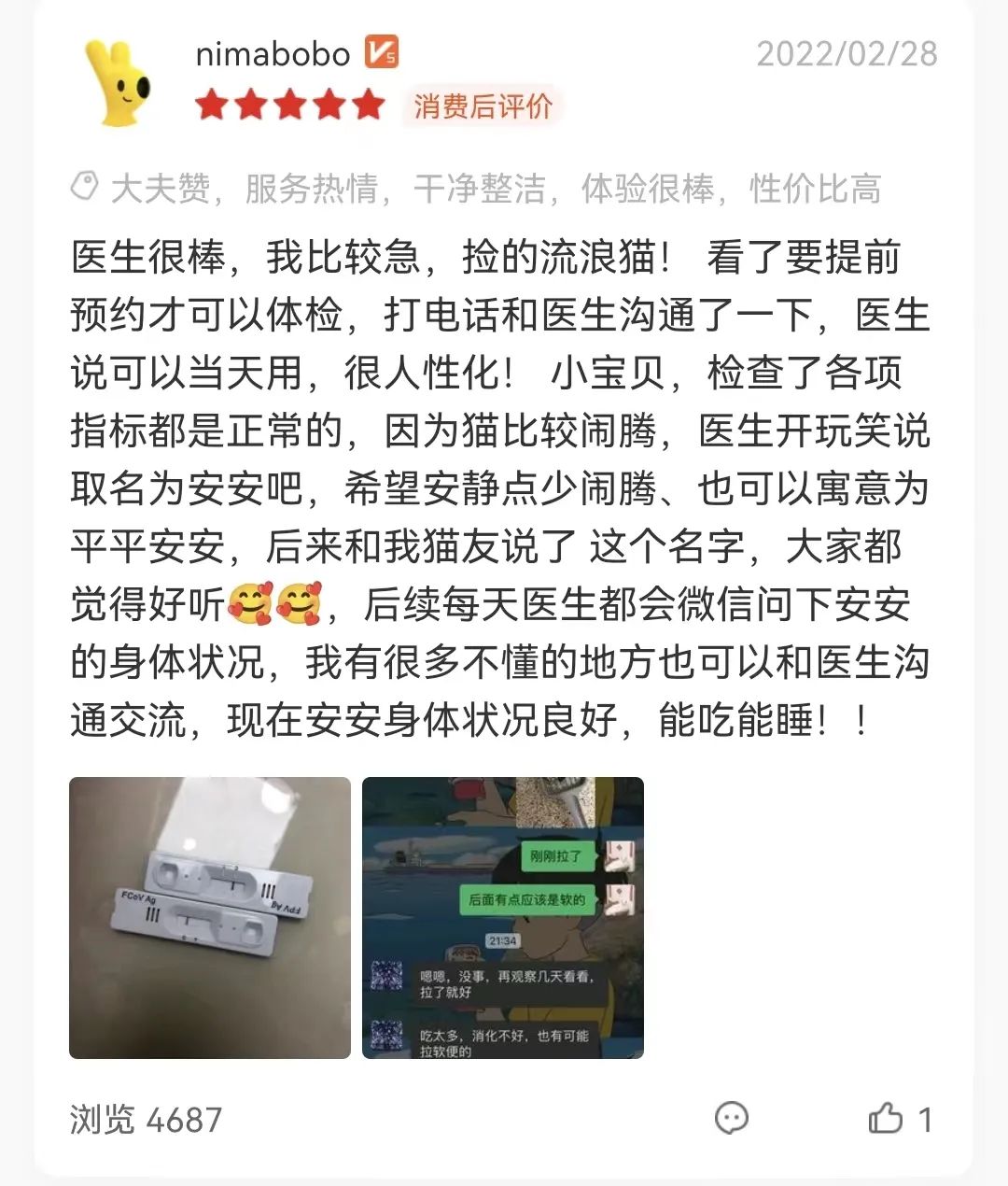 从6个方面教你判断猫咪是否健康！