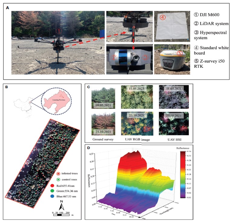 Early detection of pine wilt disease tree candidates using time-series of spectral signatures