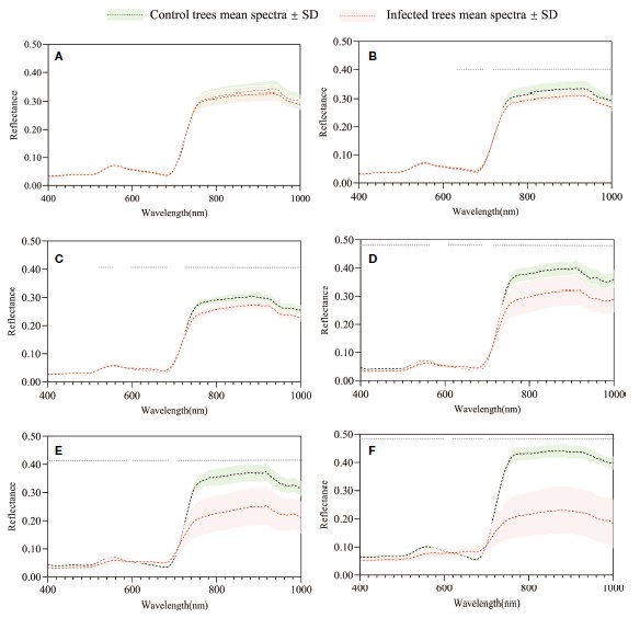 Early detection of pine wilt disease tree candidates using time-series of spectral signatures