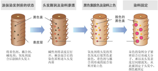 2023年染发剂、化妆品行业市场消费规模结构研究预测及重点品牌市场占有率分析