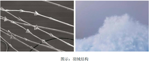 2023年羽绒羽毛产业市场集中度分析及市场需求规模增长率研究预测