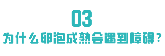 卵泡为什么成熟不了?点这里为你解答 卵泡为什么成熟不了?点这里为你解答