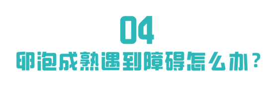 卵泡为什么成熟不了?点这里为你解答 卵泡为什么成熟不了?点这里为你解答