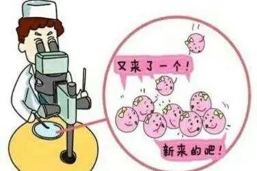 胚胎如何冷冻?走进胚胎实验室一探究竟! 胚胎如何冷冻?走进胚胎实验室一探究竟!