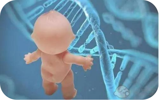 取卵后应该吃什么对卵巢恢复好? 取卵后应该吃什么对卵巢恢复好?