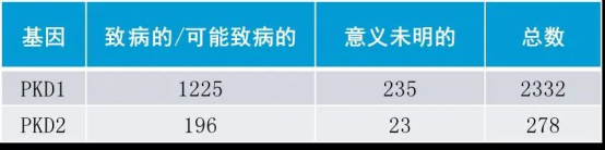 什么是多囊肾？