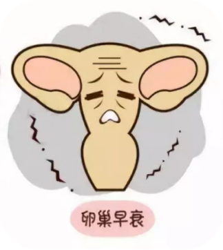 试管婴儿促排卵会对身体造成伤害吗？