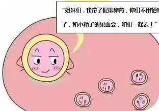 试管婴儿过程中做超排卵期间要注意什么事项？