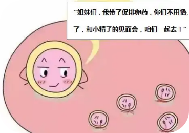 做试管婴儿，为什么取出10个卵子 最终却只有2个发育成健康胚胎？