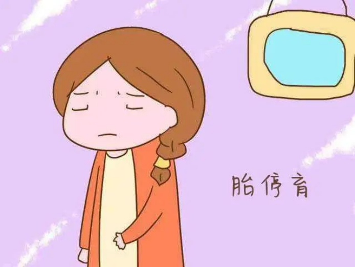 胎停育的元凶竟然是它,万万没想到! 胎停育的元凶竟然是它,万万没想到!