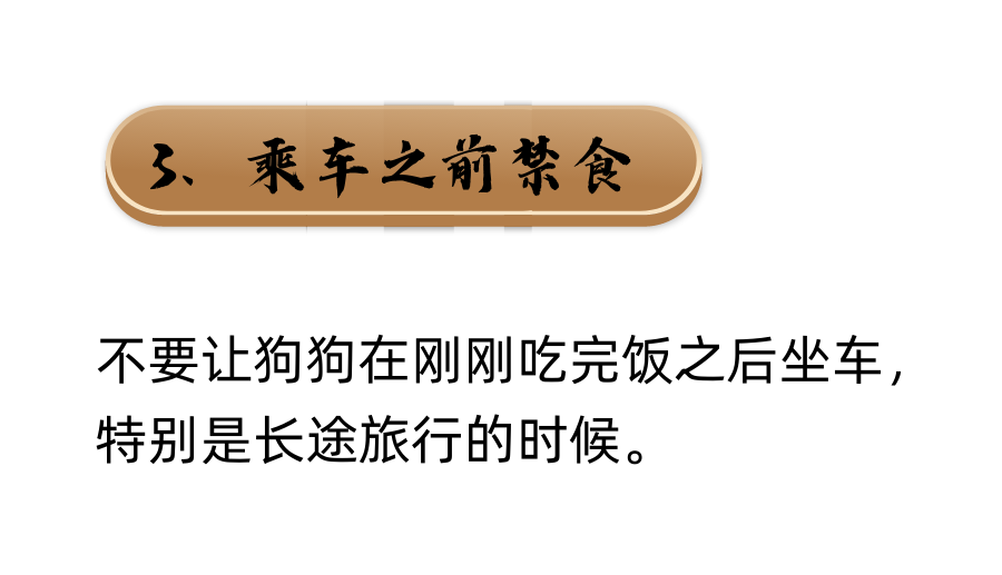 勇敢狗狗：区区晕车不在话下！