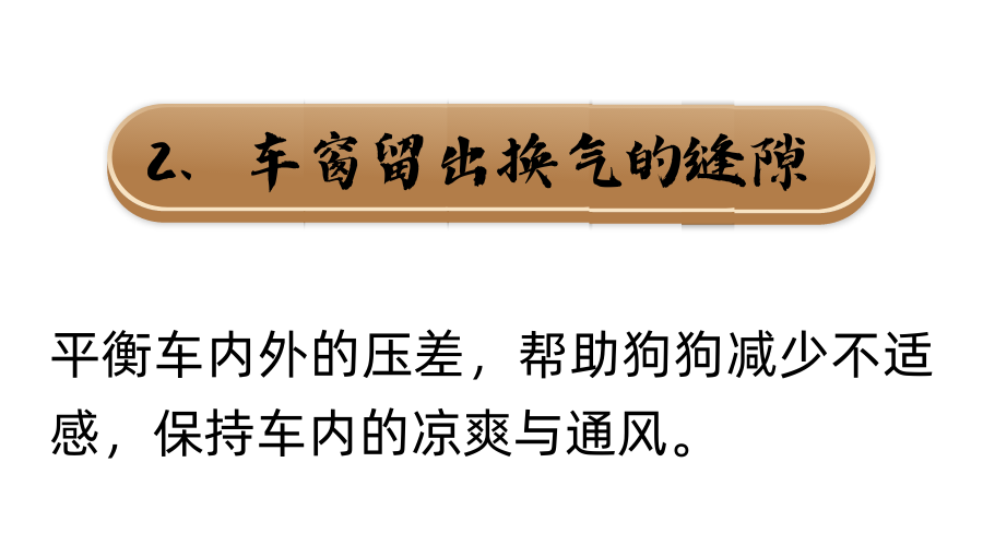 勇敢狗狗：区区晕车不在话下！