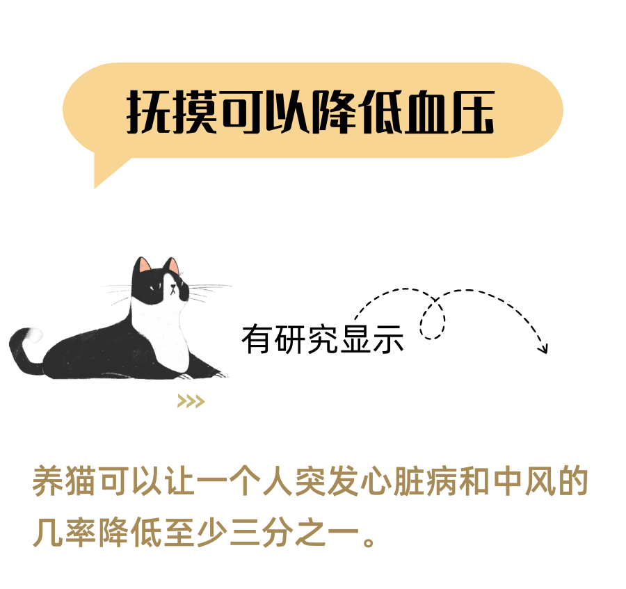 让你爱上猫咪的N个理由