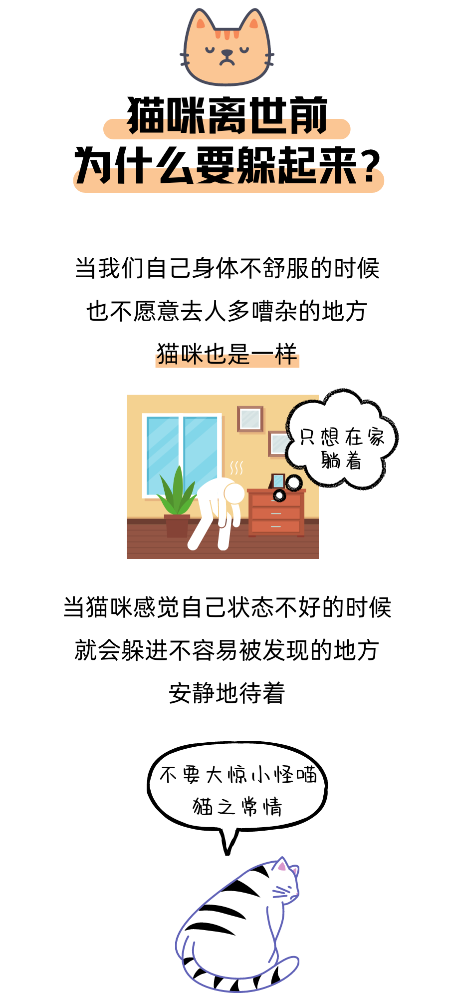 猫咪离世前为什么要躲起来？