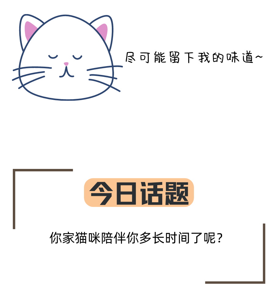 猫咪离世前为什么要躲起来？