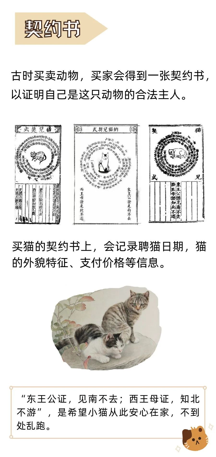 古人如何拥有一只猫猫？