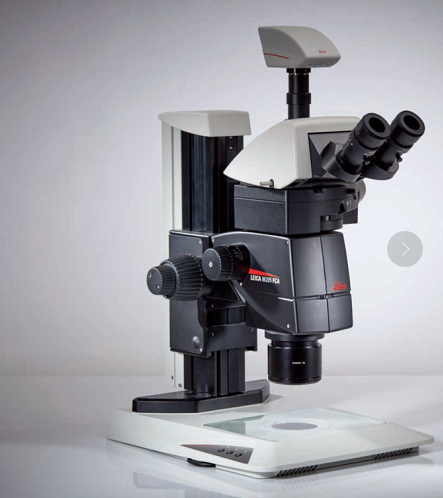 (半) 自动荧光体视显微镜
