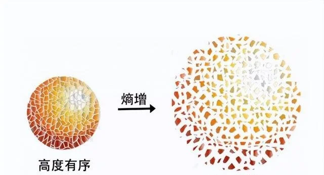 为何生命不可永远存在？科学家给出四字答案，终于解决旷世疑惑