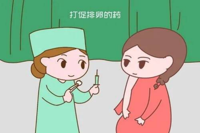 三代试管流程及时间详细安排是怎样的? 三代试管流程及时间详细安排是怎样的?