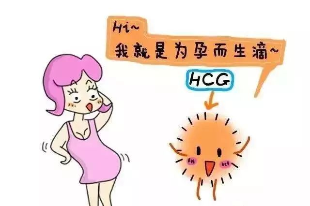 做试管婴儿期间HCG正常参考值分别是多少? 做试管婴儿期间HCG正常参考值分别是多少?
