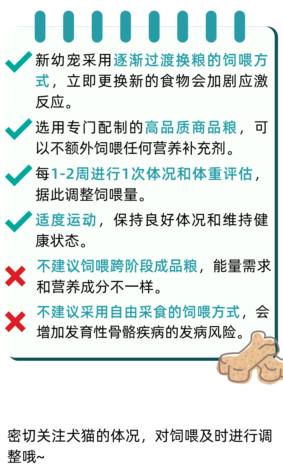 生长期犬猫喂养指南