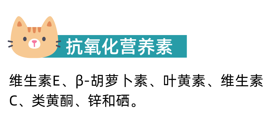 生长期犬猫喂养指南