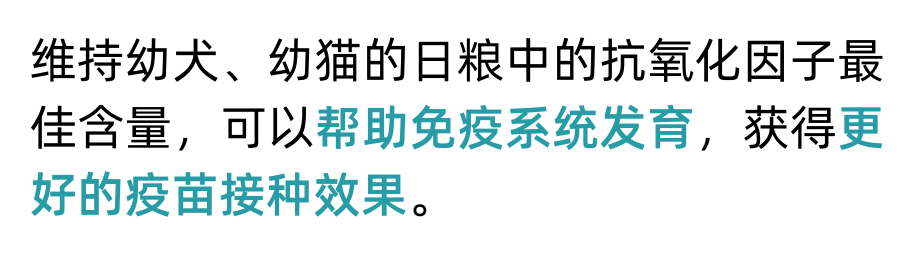 生长期犬猫喂养指南