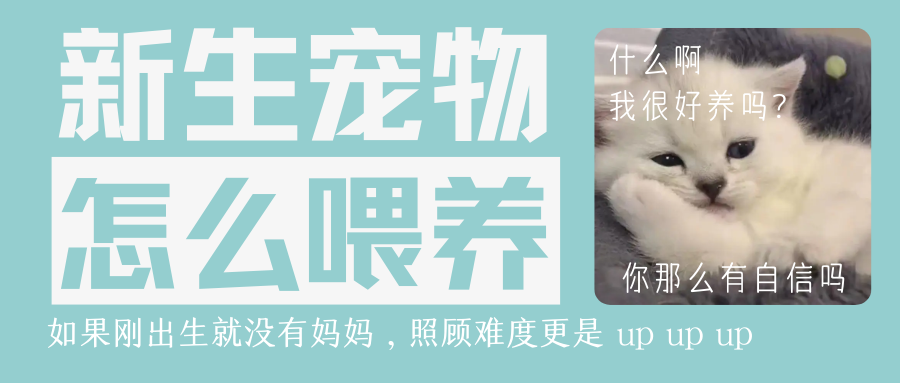 生长期犬猫喂养指南