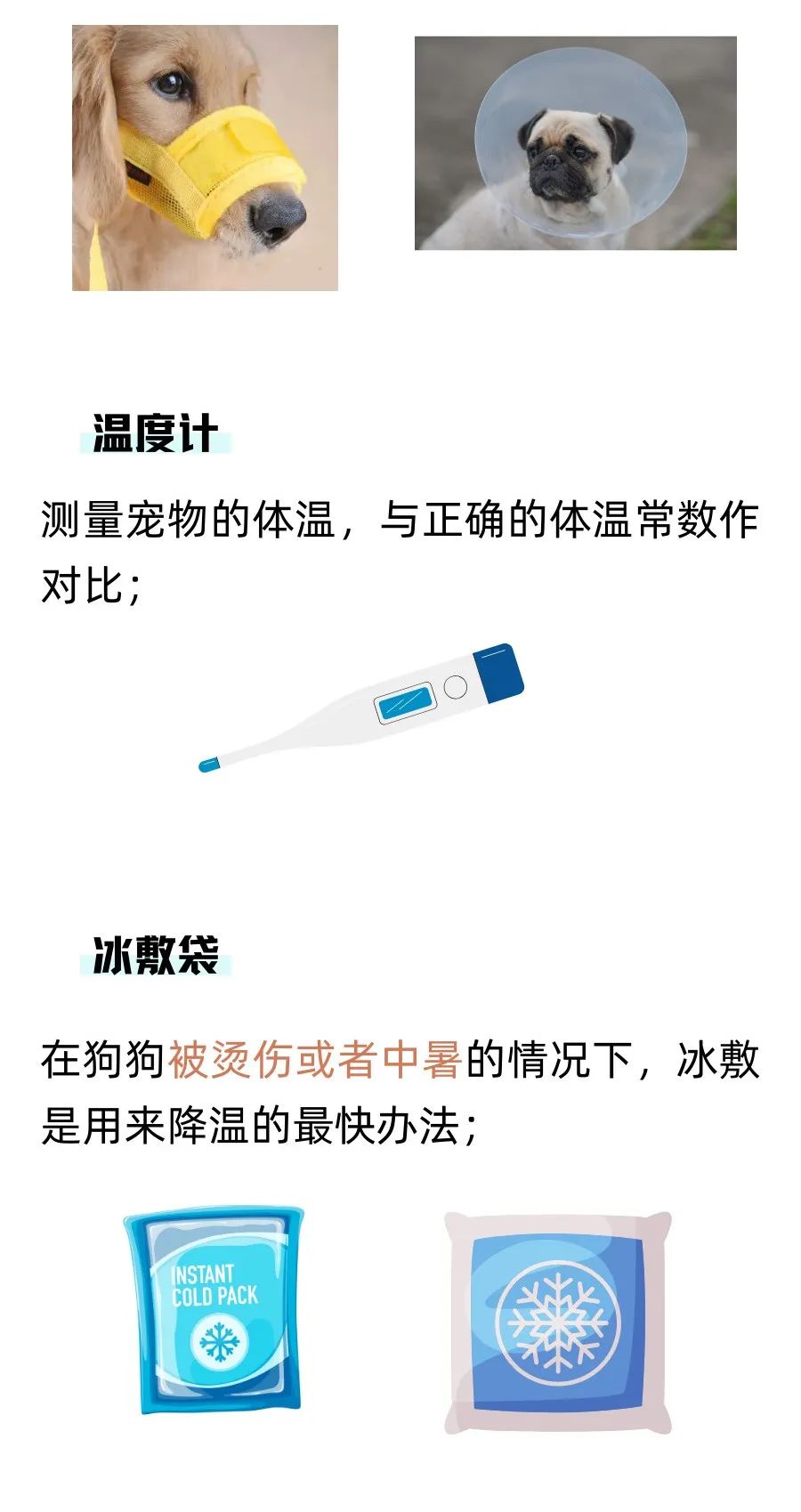 养狗家庭的急救箱里需要准备什么?