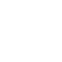 LBS display module