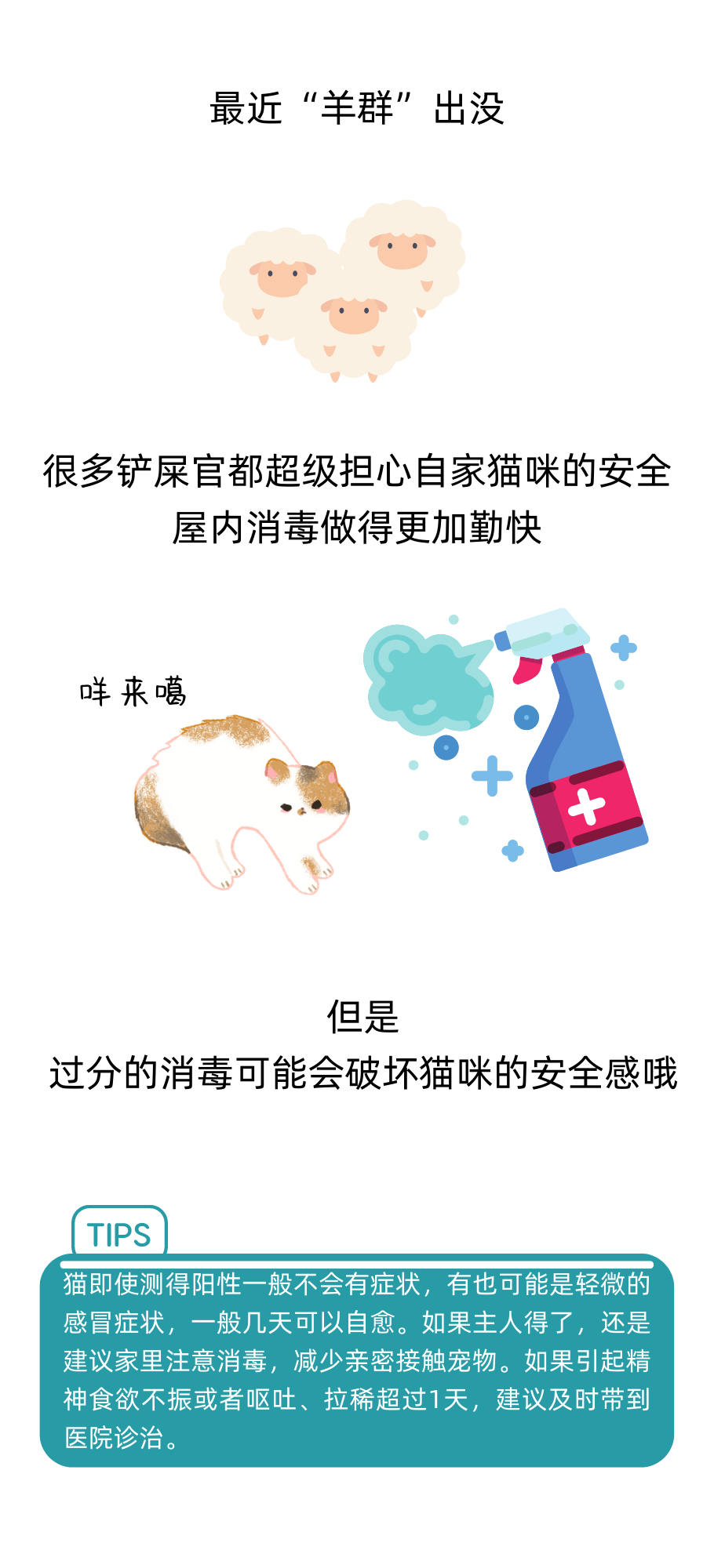 你生活的环境尊重猫咪的嗅觉了吗？