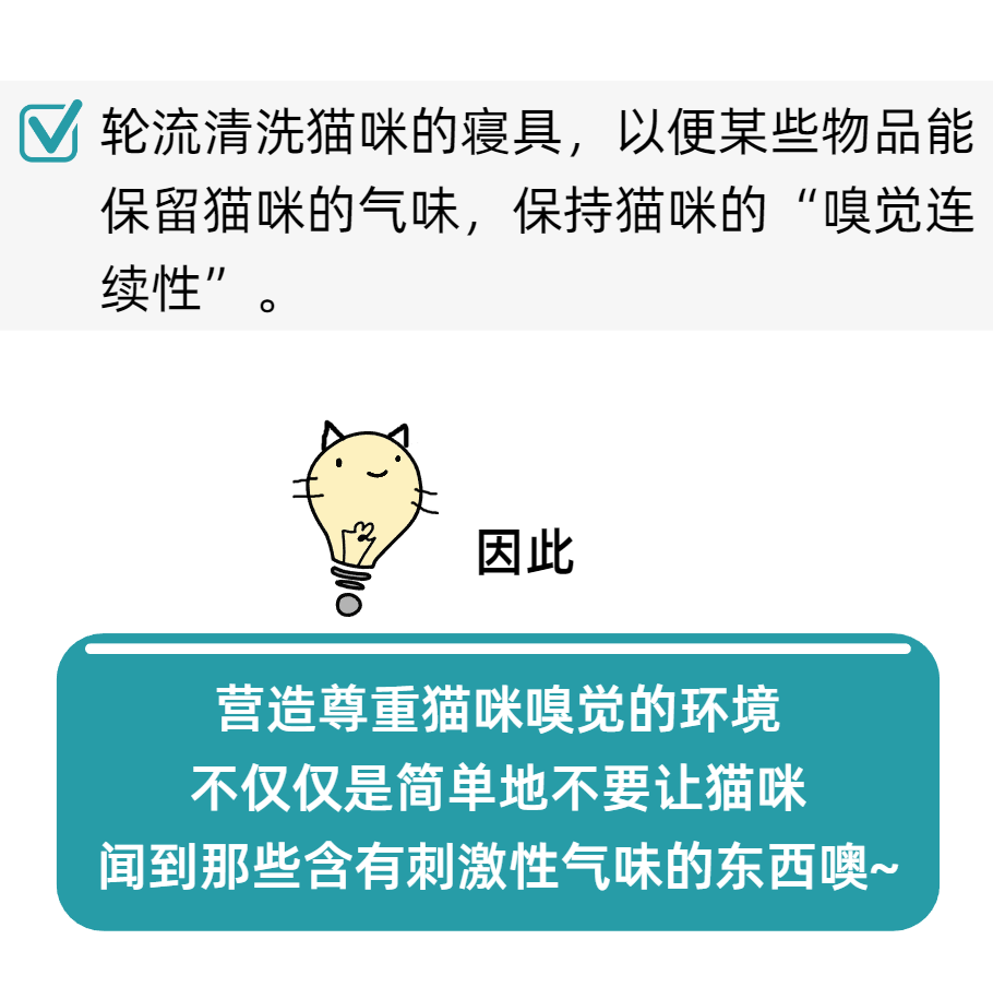 你生活的环境尊重猫咪的嗅觉了吗？