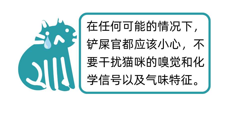 你生活的环境尊重猫咪的嗅觉了吗？