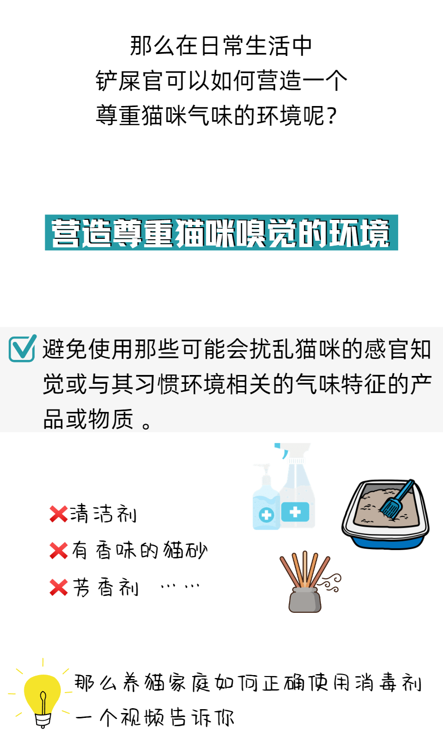 你生活的环境尊重猫咪的嗅觉了吗？