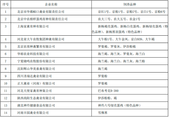 2023年蛋鸡行业市场行情走势分析预测及市场发展趋势研究预测