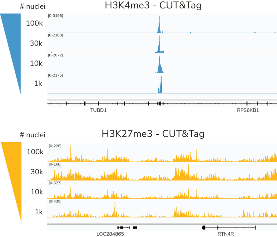 从ChIP-seq到CUT&RUN和CUT&Taq，哪种染色质分析法更适用您的实验？